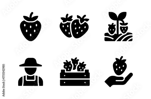 Strawberry field icons set for agricultural and farm designs