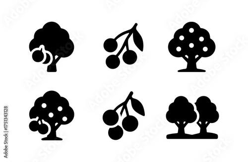 Longan orchard icons collection for nature design projects and agricultural themes