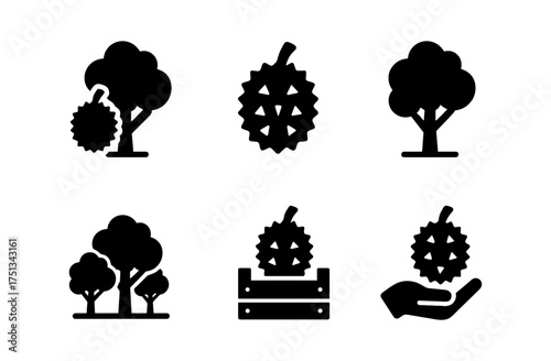 Durian orchard icons collection for design and branding projects