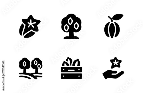 Star fruit icons collection for design and branding concepts