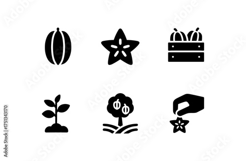 Star fruit icons collection for design and decoration projects