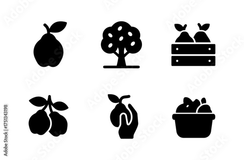 Quince orchard icons for autumn harvest design projects