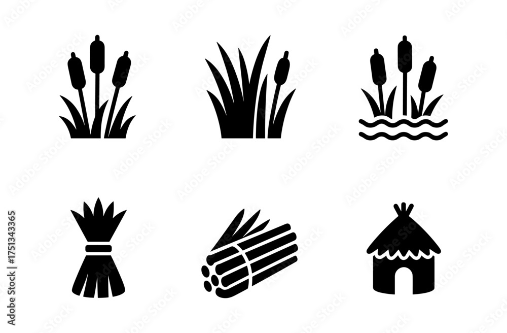 Fototapeta premium Reed marshland icons collection for nature and outdoor design projects