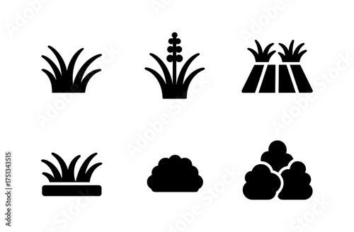 Liriope icon set featuring simplistic grass and plant designs for garden and landscape projects