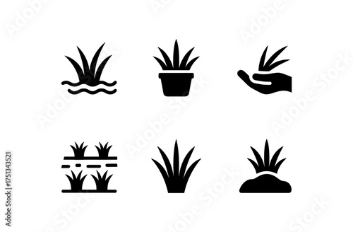 Minimalist sedge grass icons set for nature and gardening projects