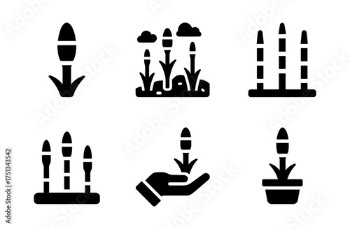 Equisetum icon set for botanical designs and nature-themed graphics