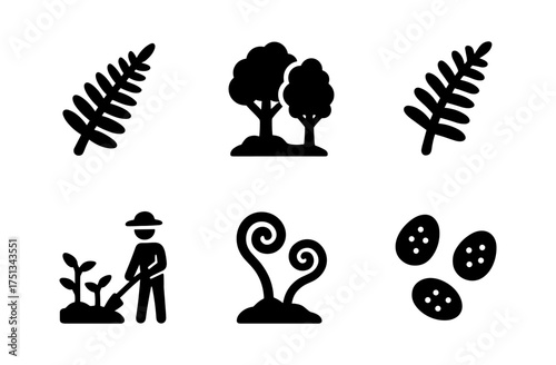 Fern and forest icons collection for nature and gardening design projects