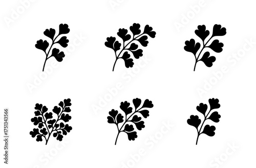 Maidenhair fern icons set for botanical designs and nature projects
