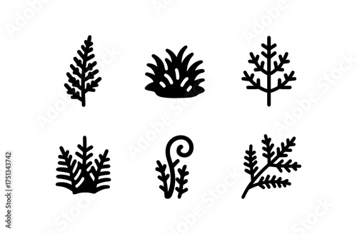 Nature elements with fern and moss icons for eco-friendly designs