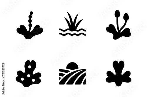 Stylized liverwort plant icons collection for nature design projects
