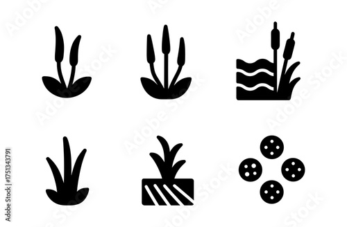 Minimalist hornwort icon set for nature and aquatic themes in design projects