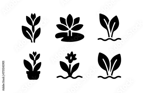 Minimalist canna lily icon set for botanical design and decor projects