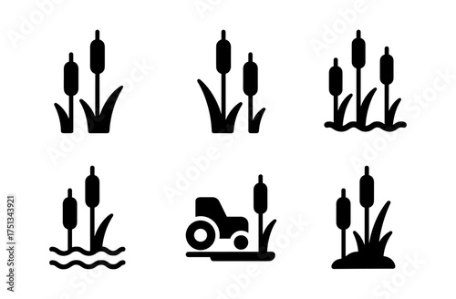Cattail marshland icon set for nature and wetland themes