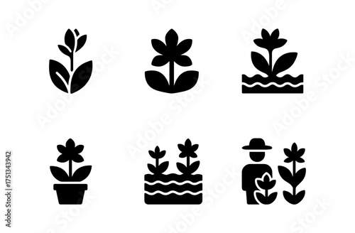 Canna lily icons collection for botanical design projects and garden themes