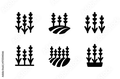 Simple lavender field icons for nature and botanical designs