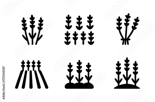 Lavender field icon set: simple nature composition for design and decoration