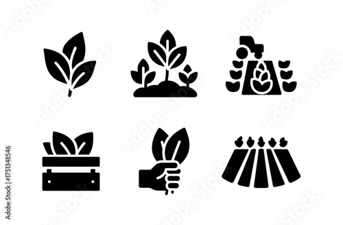 Tobacco crop icons for agriculture and farming design projects