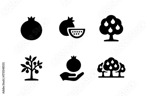 Pomegranate grove icons set for design and decoration