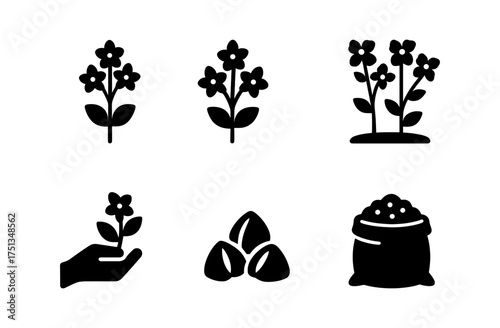 Buckwheat icon collection: simple floral and seed designs for branding and packaging
