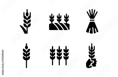 Rye field icon set – agricultural and farming symbols for design and decoration