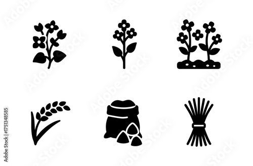 Buckwheat icon collection for food and agriculture design projects