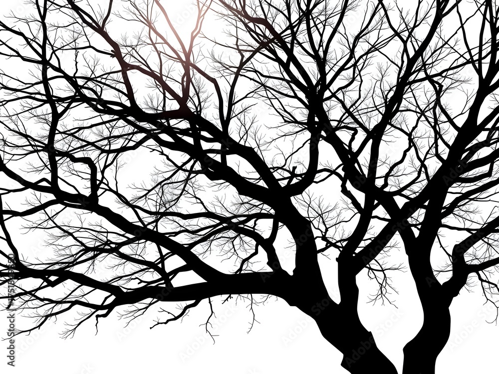 Fototapeta premium background of tree silhouete shadow