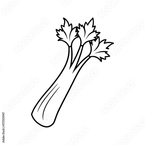 celery outline line art vector