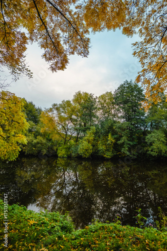 Vertical shot of a peaceful river reflecting a dense autumn forest under an overcast sky with yellow tree branches framing the top of the composition in a natural seasonal border.