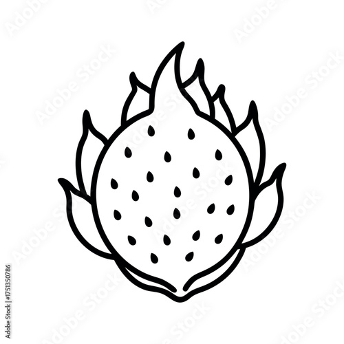 dragon fruit slice outline line art vector