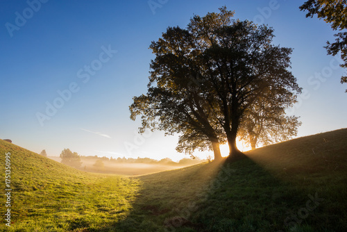 alba meravigliosa al centro equestre di Pratoni del vivaro. Roma