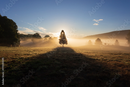 alba meravigliosa al centro equestre di Pratoni del vivaro. Roma