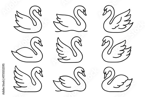 Fototapeta Naklejka Na Ścianę i Meble -  Set of nine swan line drawings in various elegant poses