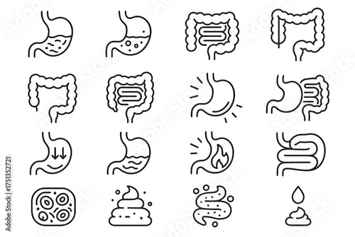 Digestive system icons: stomach, intestines, digestion process, cells, gut health