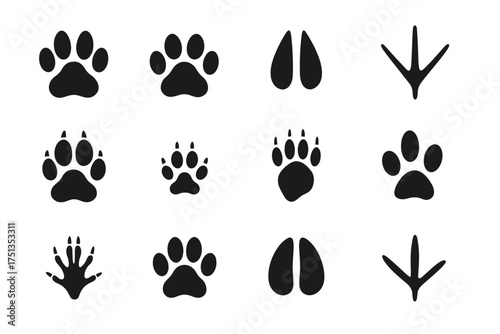 Variety of animal paw prints and tracks: canine feline ungulate bird patterns