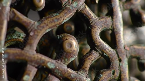 Close-up of an intricately designed, aged metallic object with a textured surface showing signs of oxidation and wear, revealing a complex pattern of interconnected branches and rounded protrusions