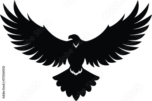 Powerful Black Silhouette of a Majestic Bird of Prey with Wings Spread Wide