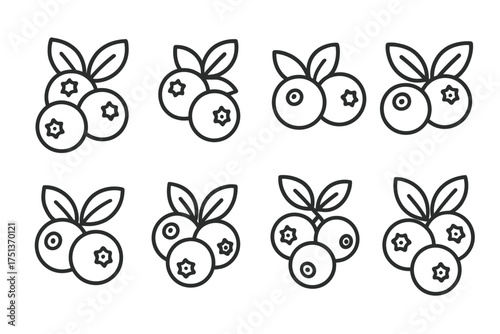 Minimalistic outline icons of blueberries with leaves in various arrangements