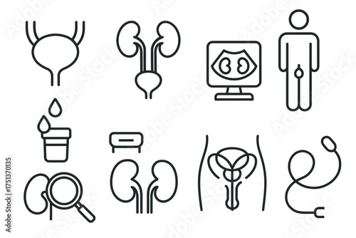 Urology icons: kidney, bladder, ultrasound, urine, medical equipment
