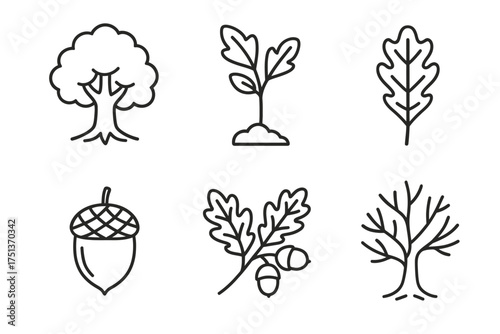 Collection of tree and leaf line icons including acorn and sapling illustrations