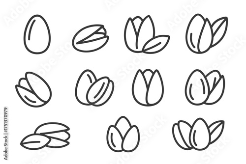 Set of hand-drawn pistachio nut icons in various styles
