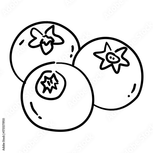 Blueberry Trio Line Art Coquette Thanksgiving Fruit Outline Illustration for Fall Dessert Harvest Decor Cottagecore Kitchen and Autumn Design