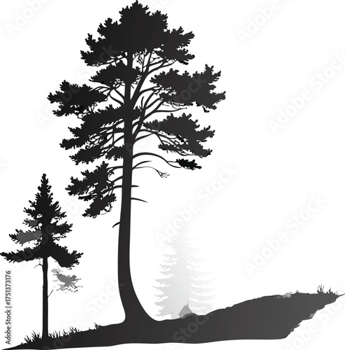Forest landscape with multiple pine tree silhouettes in black vector minimal style