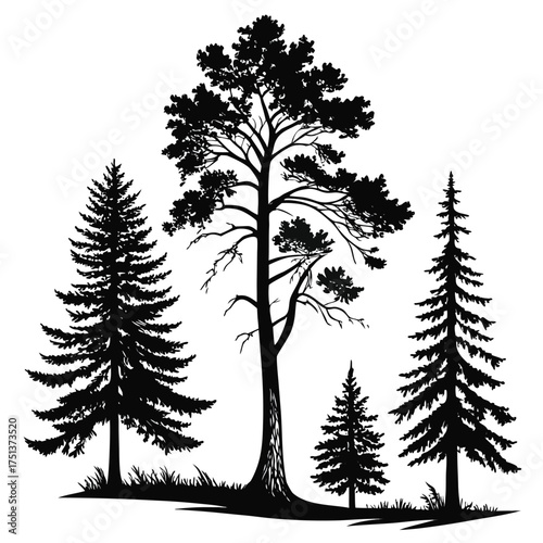 Silhouette of bonsai tree isolated on white background for logo and art design