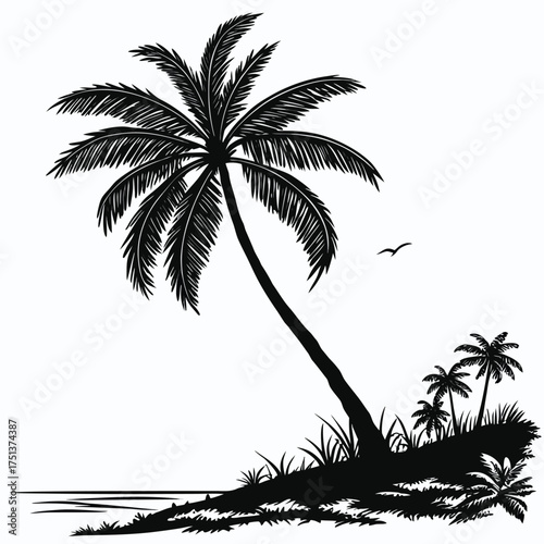 Evergreen Spruce Tree Silhouette Vector