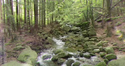 A tranquil forest stream cascades over moss-covered rocks, creating a serene natural landscape