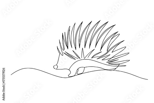 Hedgehog sketch with spines in minimalist line art style  