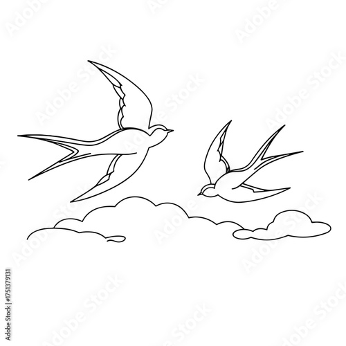 Two birds flying in the sky above fluffy clouds in outline style  