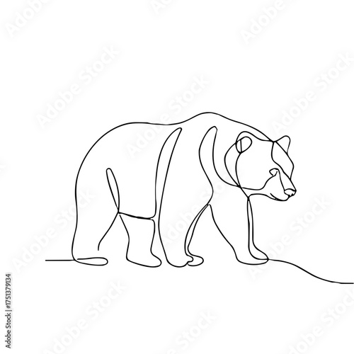 Line drawing of a bear walking in minimalist style  