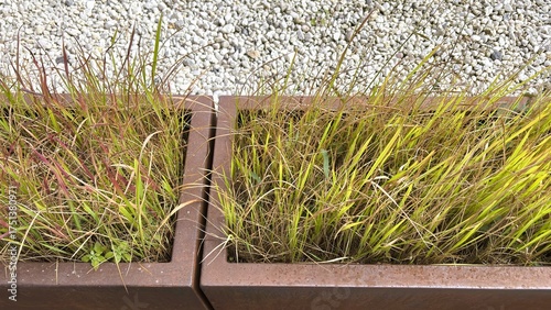 Wallpaper Mural Grass in a Bed Torontodigital.ca