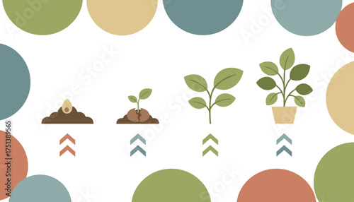 Illustrated plant growth stages seed sprout seedling potted plant Growth development nature concept